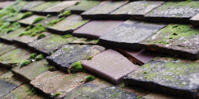 Bont Fawr roof repair costs
